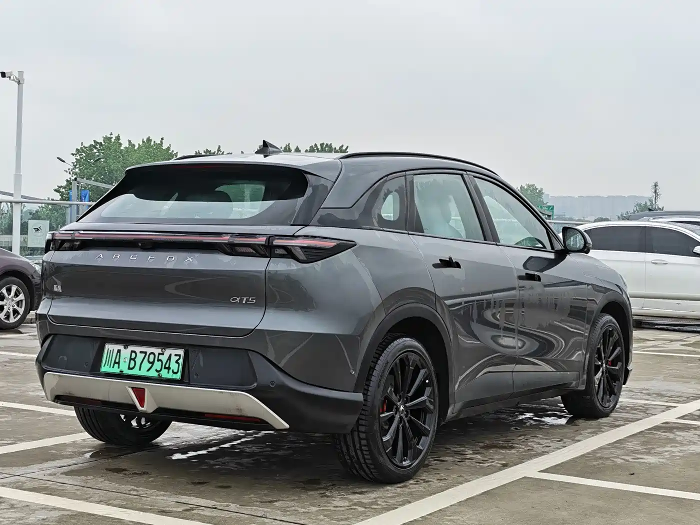 ARCFOX EXTREME FOX POLAR FOX ALPHA T5