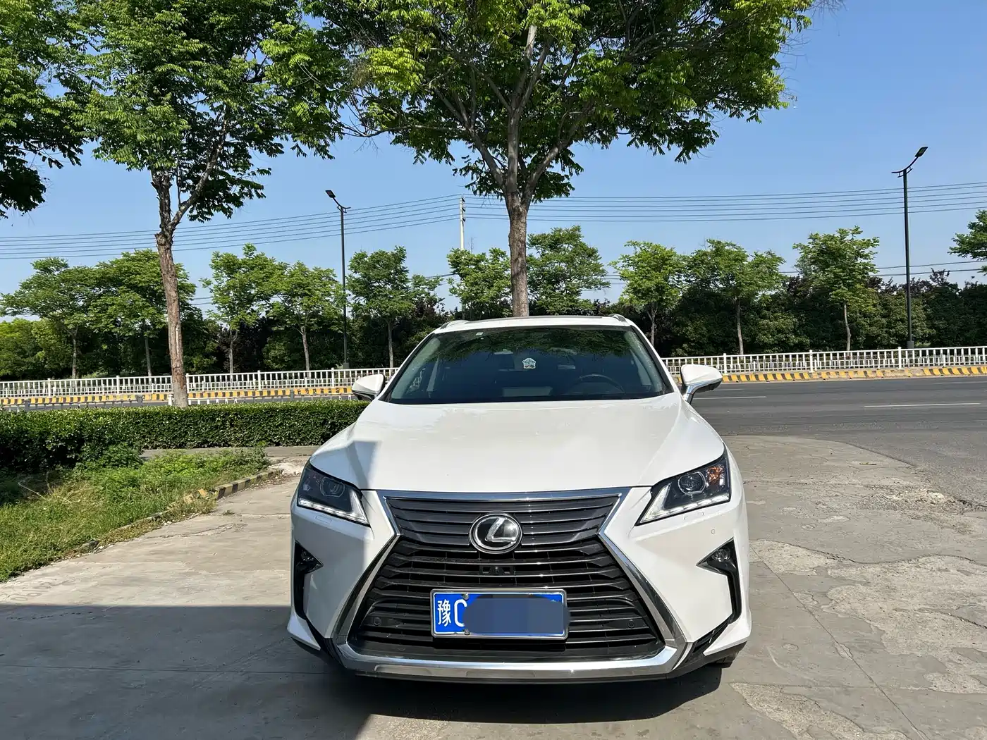 LEXUS RX