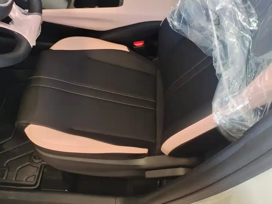 BYD Seagull 2026 2025 Smart Drive Edition 305km Vitality Version