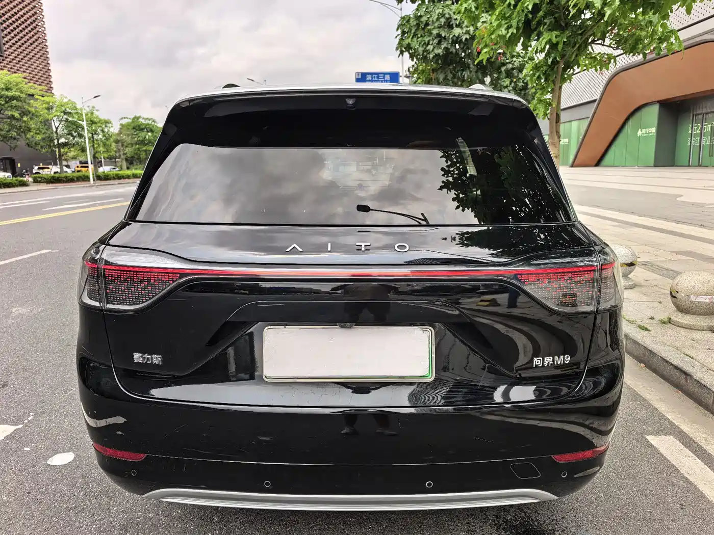 AITO Wenjie AITO M9 2024 Range Extender Max Edition 42kWh 6-seater фото 7
