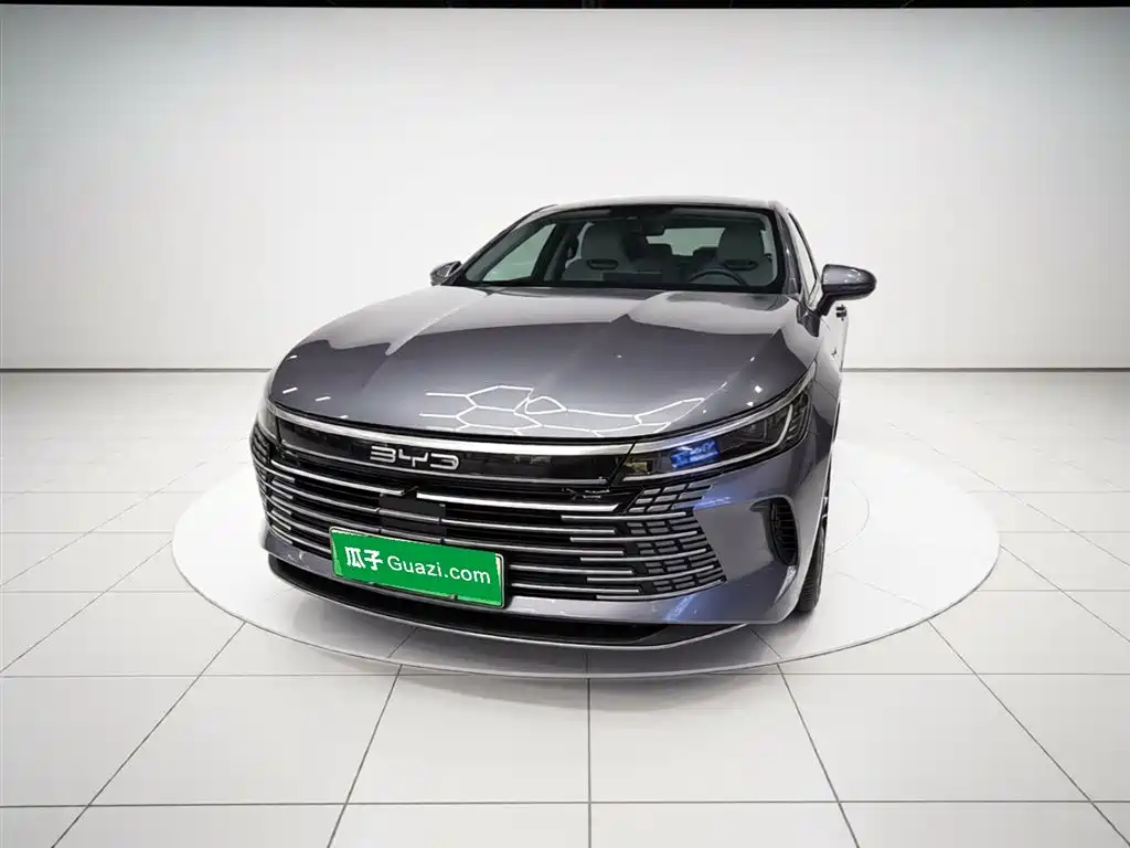 BYD Destroyer 05 2024 Glory Edition DM-i 55KM Luxury фото 2