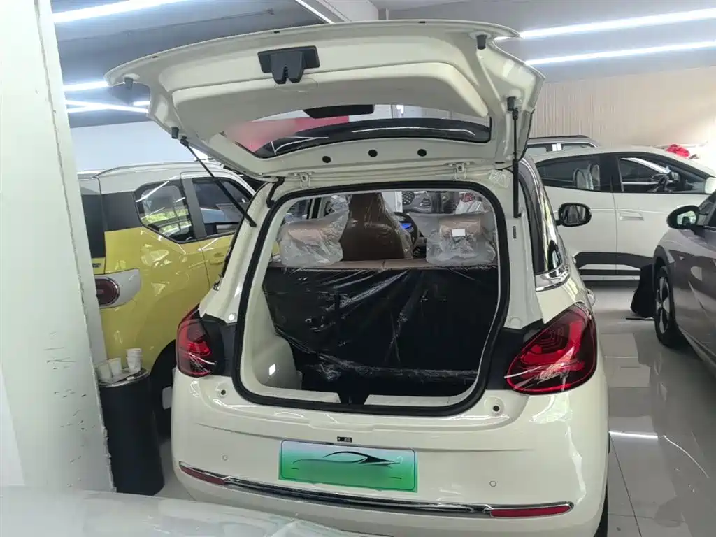 Wuling Motors Wuling Bingo 2026 2025 Model 333km Joy Edition