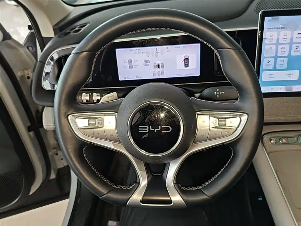 BYD Hai Shi 05 EV 2025 520KM Smart Navigation Edition фото 11