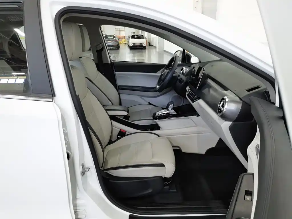 BYD Yuan Pro 2022 2021 401KM Luxury Model