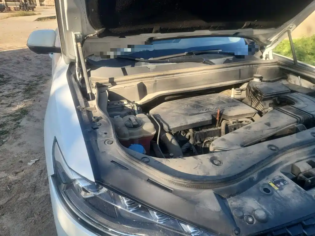 Haval F7 2019 2019 1.5T 2WD i-Style China VI