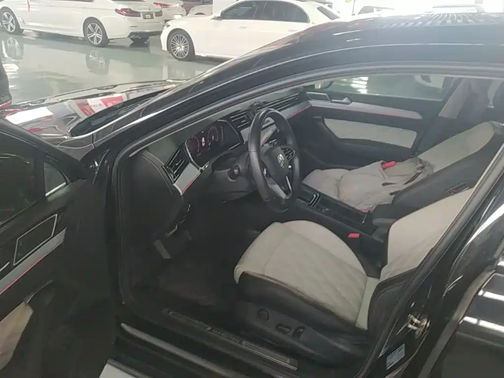 Volkswagen Magotan 2024 2 Million Units Public Sharing Edition 330TSI DSG Luxury фото 16