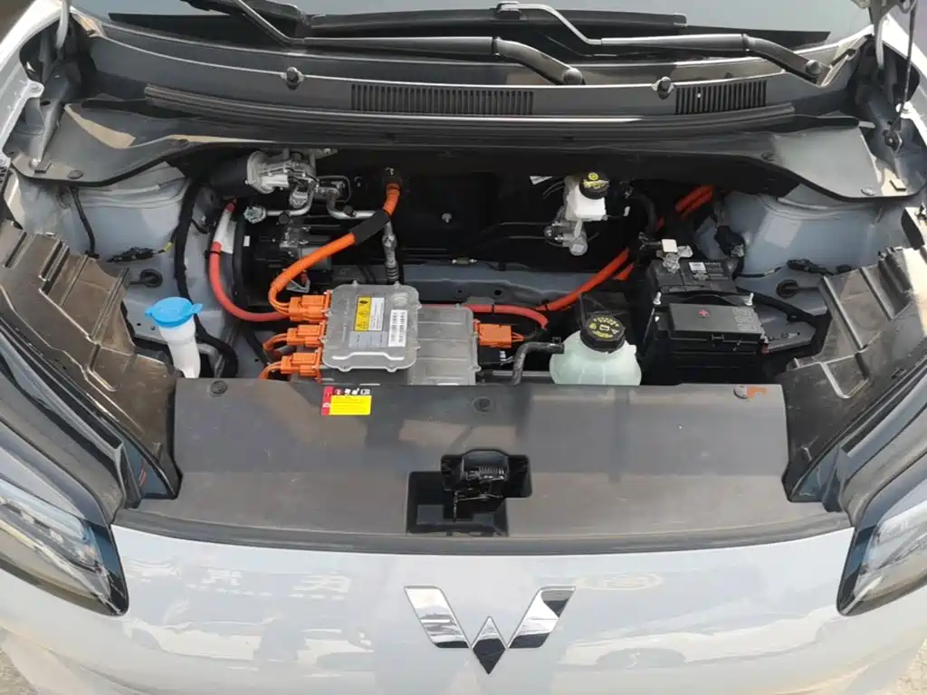 Wuling Motors Wuling Binguo PLUS 2024 2024 401km Range 5-seater