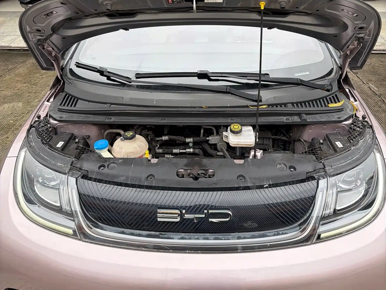 BYD Dolphin 2021 401km Knight Edition фото 10