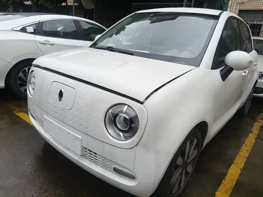 Ora Black Cat 2019 2019 Model 351km Smart Intelligence Edition