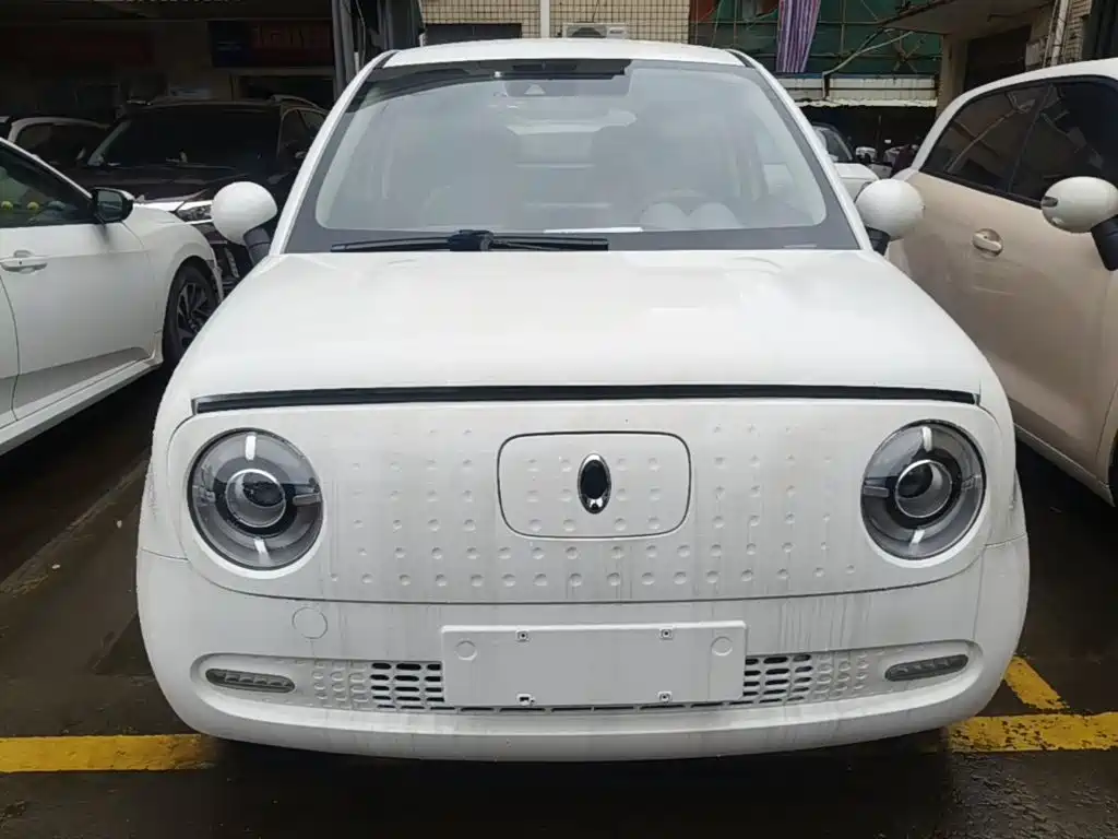 Ora Black Cat 2019 2019 Model 351km Smart Intelligence Edition