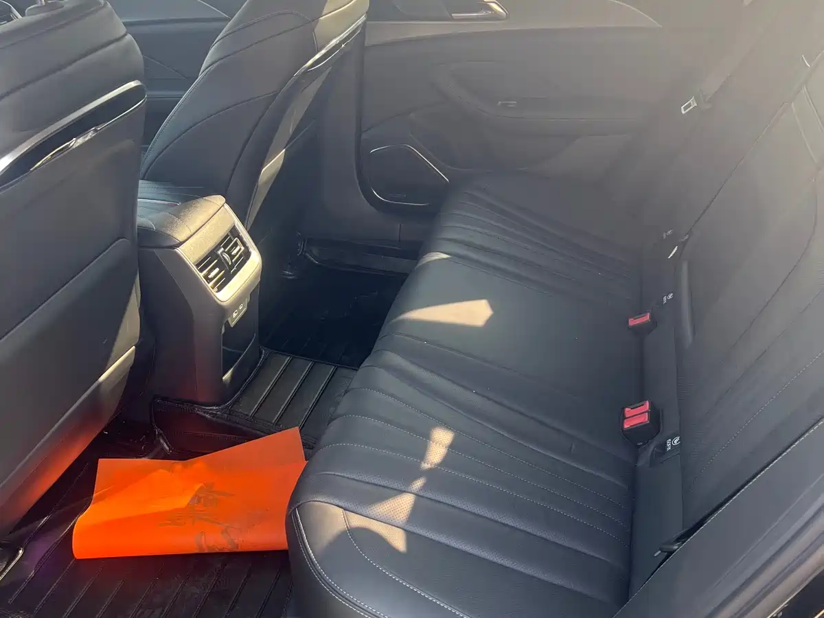 Hongqi H5 2024 2.0T Automatic Smart Connect Flag Leader Edition фото 13