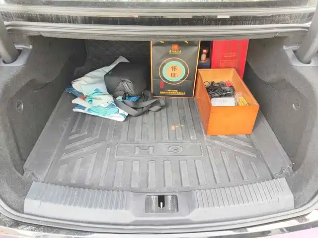 Hongqi H9 2022 2.0T Smart Connect Flag Enjoy Edition — фото 5