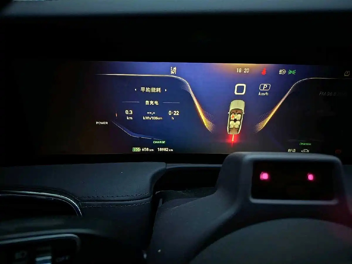 Hongqi E-HS9 2022 660km Qi Ling Edition (4-seater) фото 16