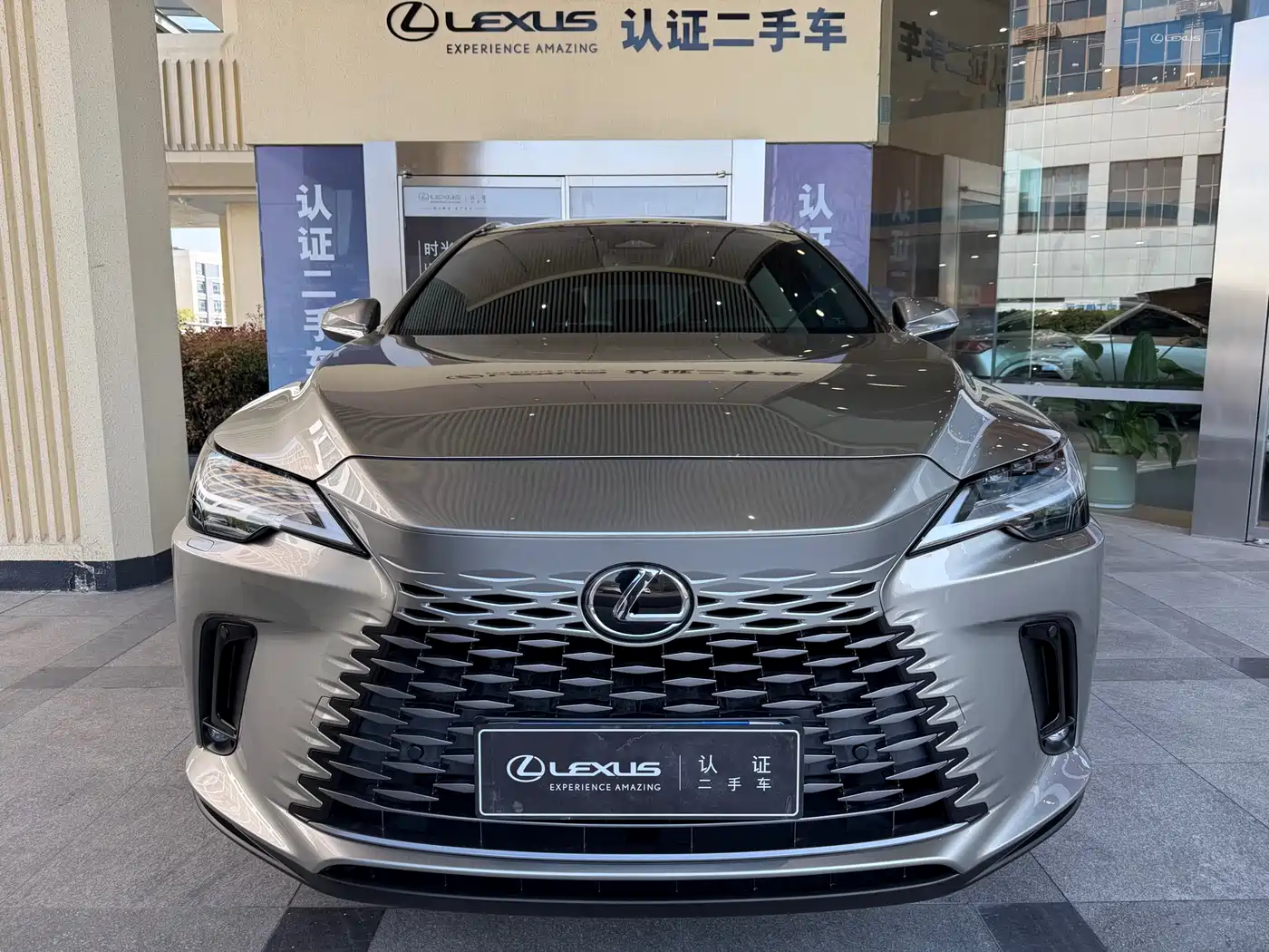 LEXUS RX