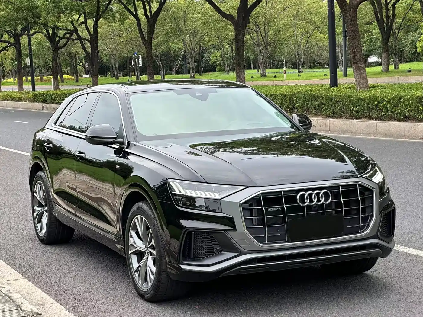 Audi Q8 2023 2023 55 TFSI Luxury Sport