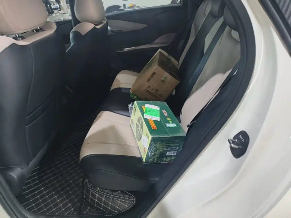 BYD Dolphin 2026 2025 Smart Drive Edition 420km Freedom Version