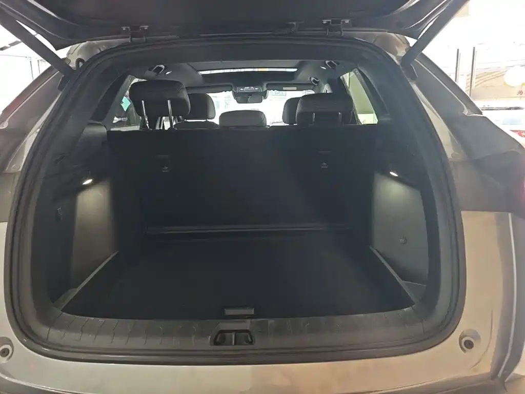 BYD Song L DM-i 2025 2025 Smart Drive 160km Premium