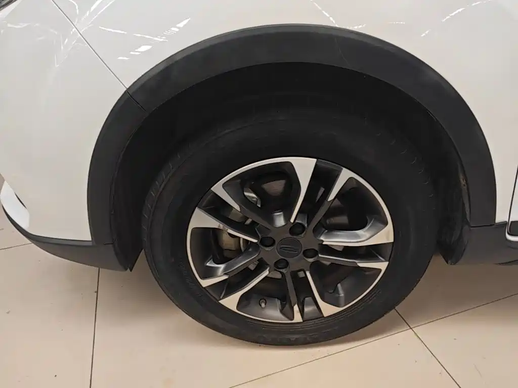 Geely Geometry EX3 Kung Fu Bull 2022 2021 Strong Bull