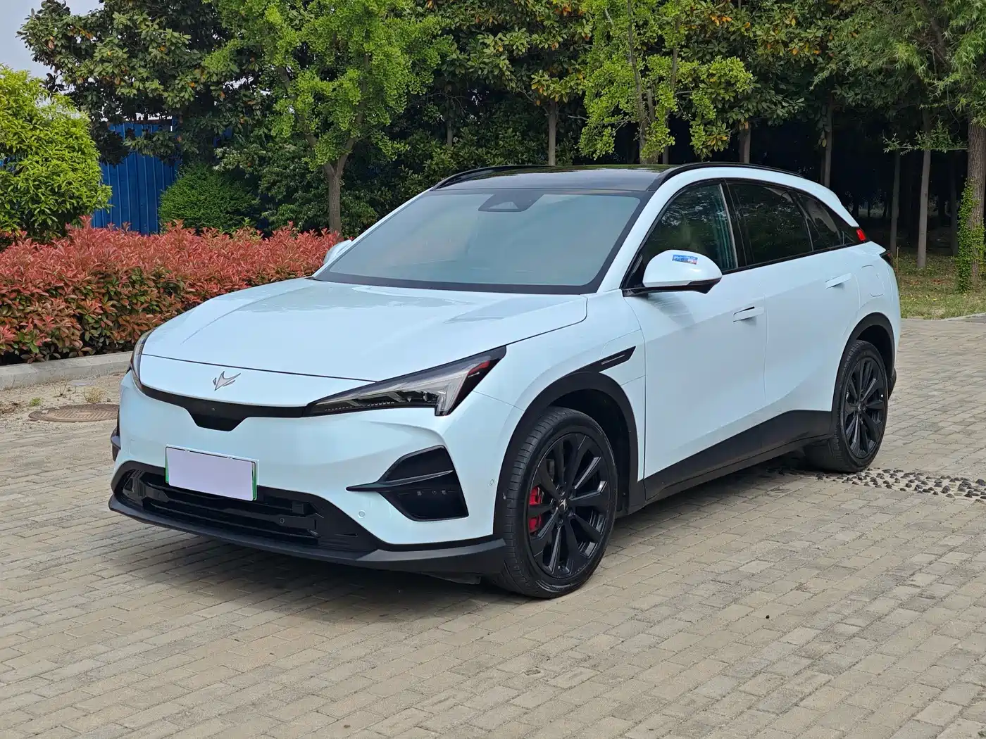 ARCFOX EXTREME FOX POLAR FOX ALPHA T5