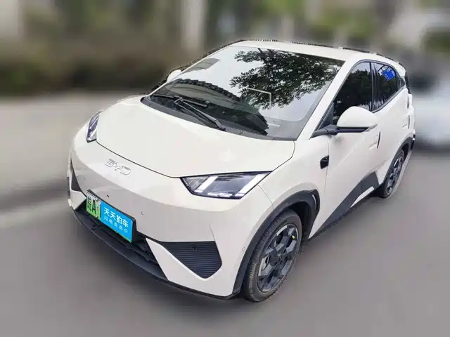 BYD Seagull 2025 Smart Drive Edition 305km Freedom Version — фото 1