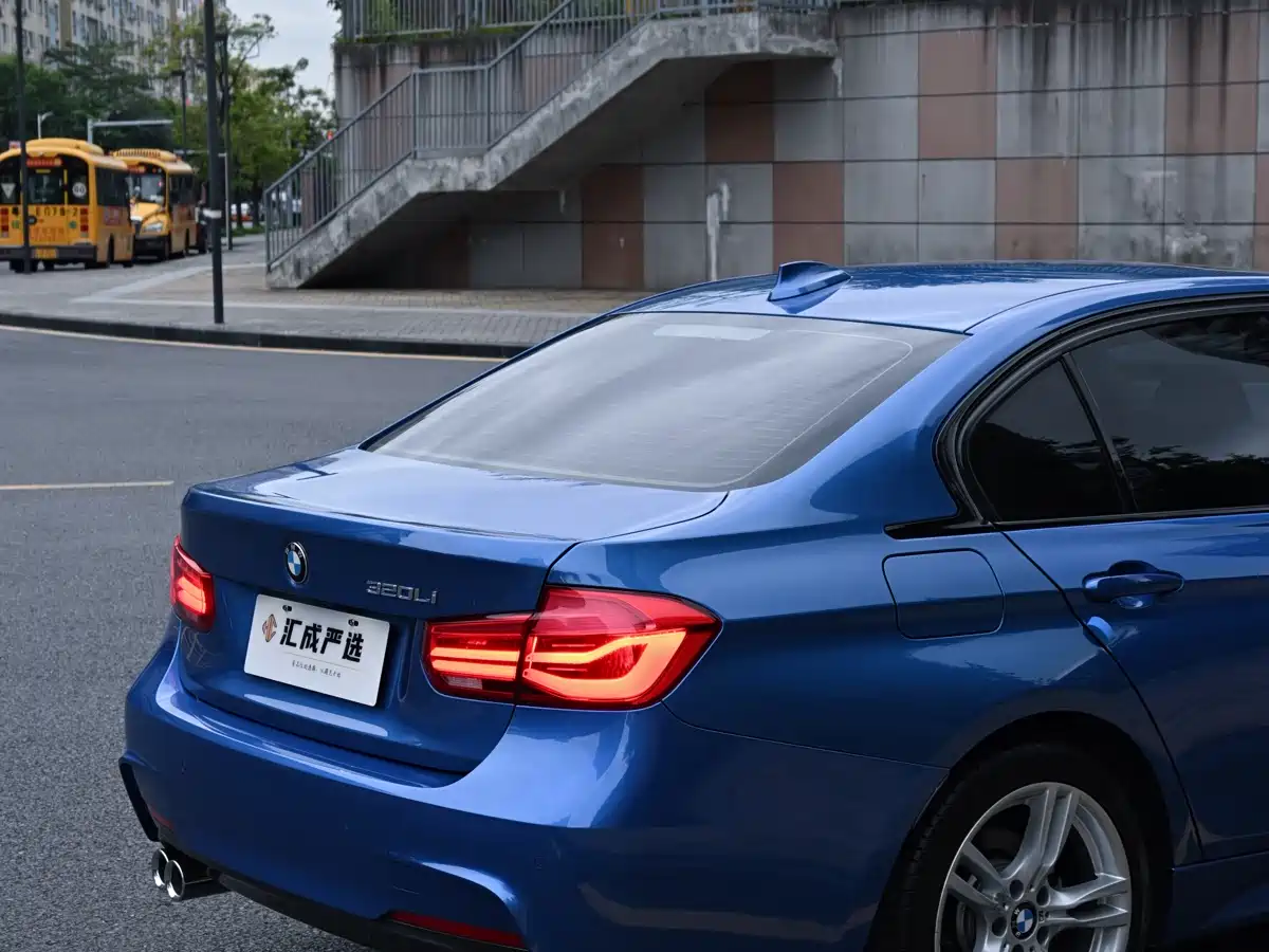 BMW 3 Series 2019 320Li M Sport Package фото 11