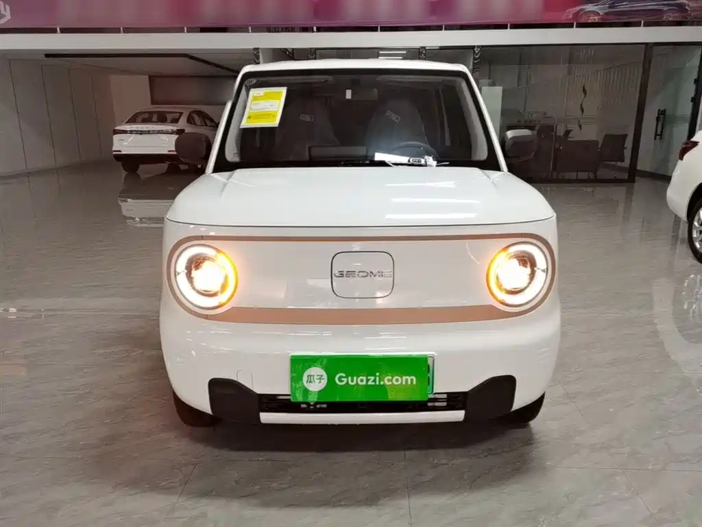 Geely Galaxy Panda 2025 Panda mini 210km Vitality Bear фото 3
