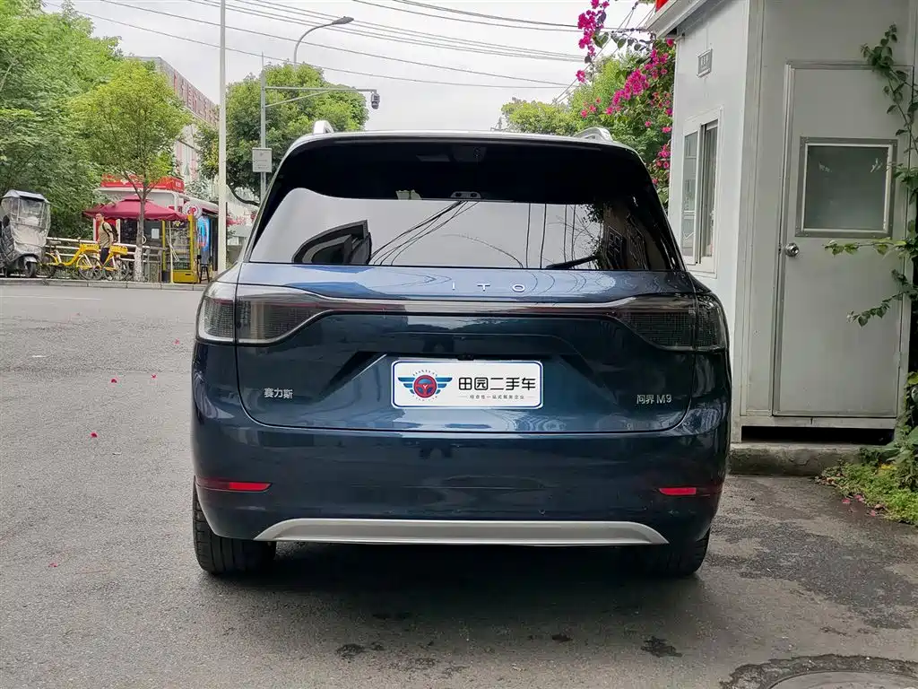 AITO Wenjie AITO M9 2025 Extended Range Max 52kWh 6-Seater фото 5