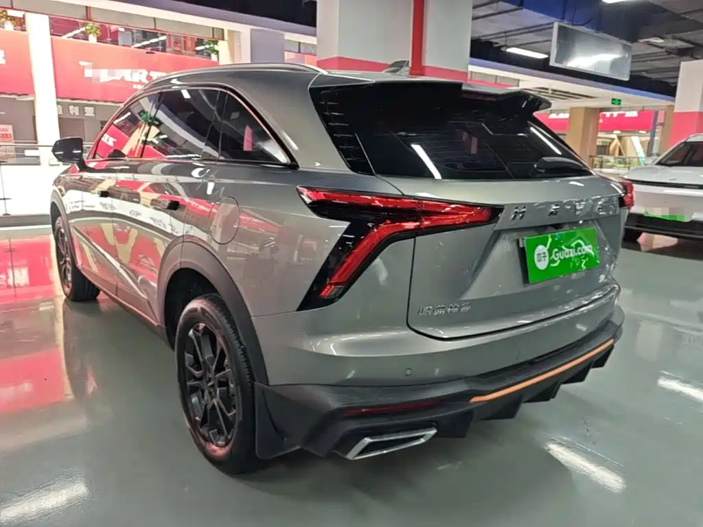 Haval Shenshou 2023 2022 1.5T Smart Leader Edition