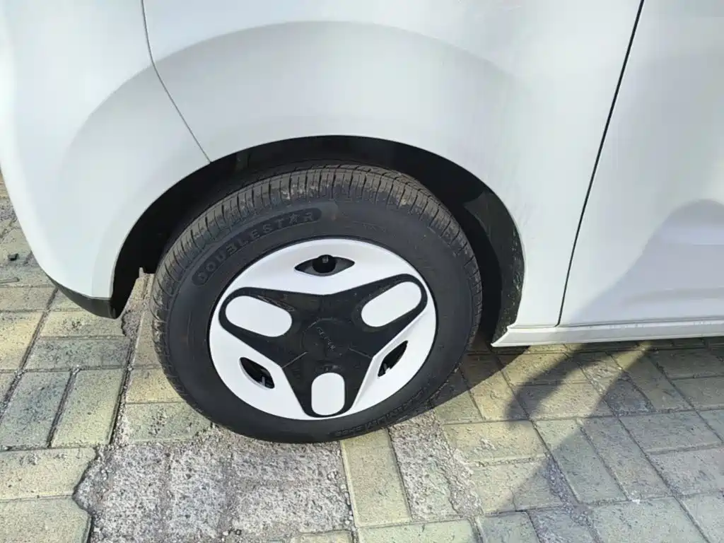 Geely Galaxy Panda 2026 2025 Panda mini 210km Vitality Bear