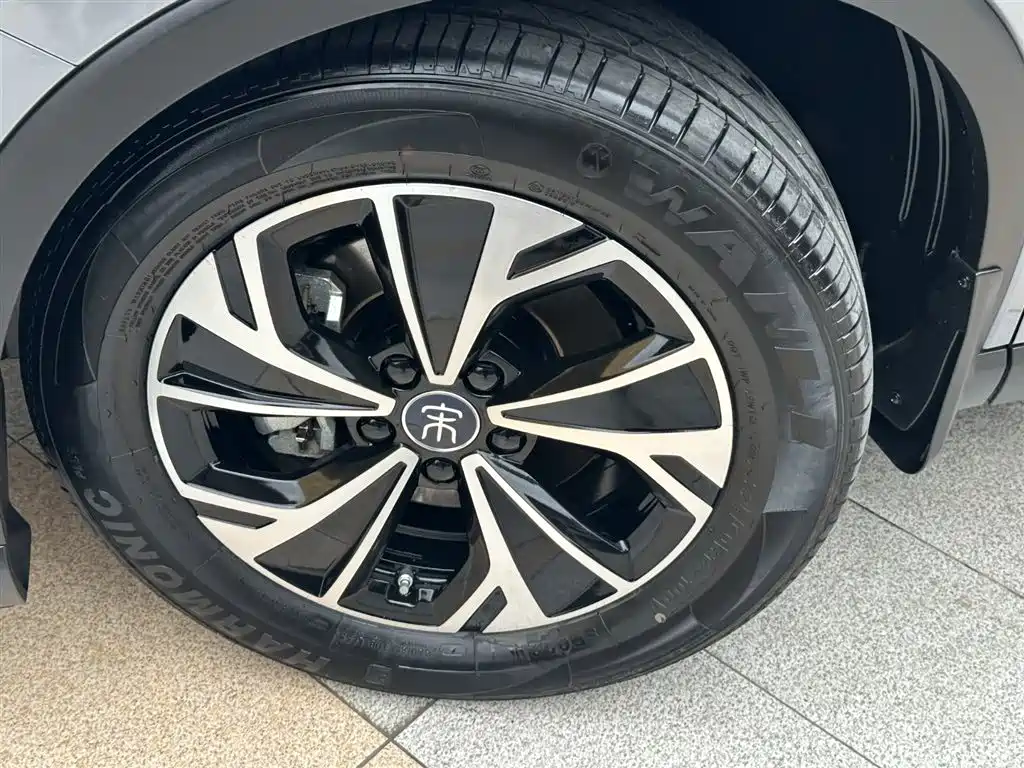 BYD SONGJIANG NEW ENERGY
