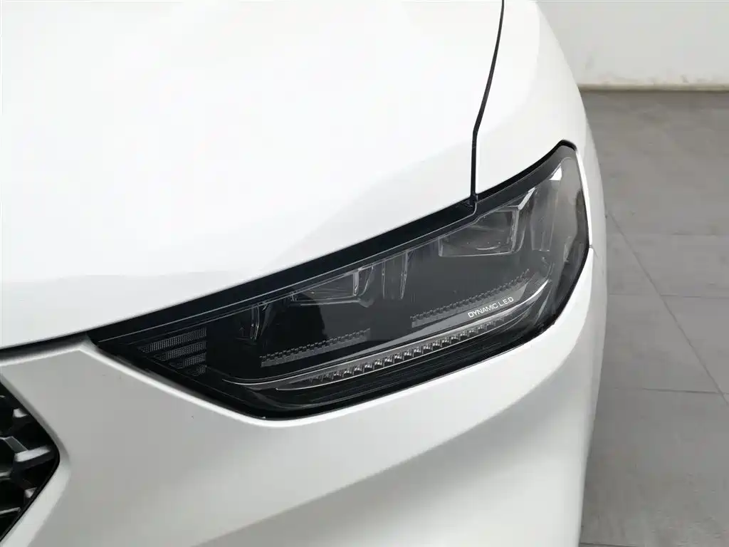 WEI PAI WEI BRAND VV5