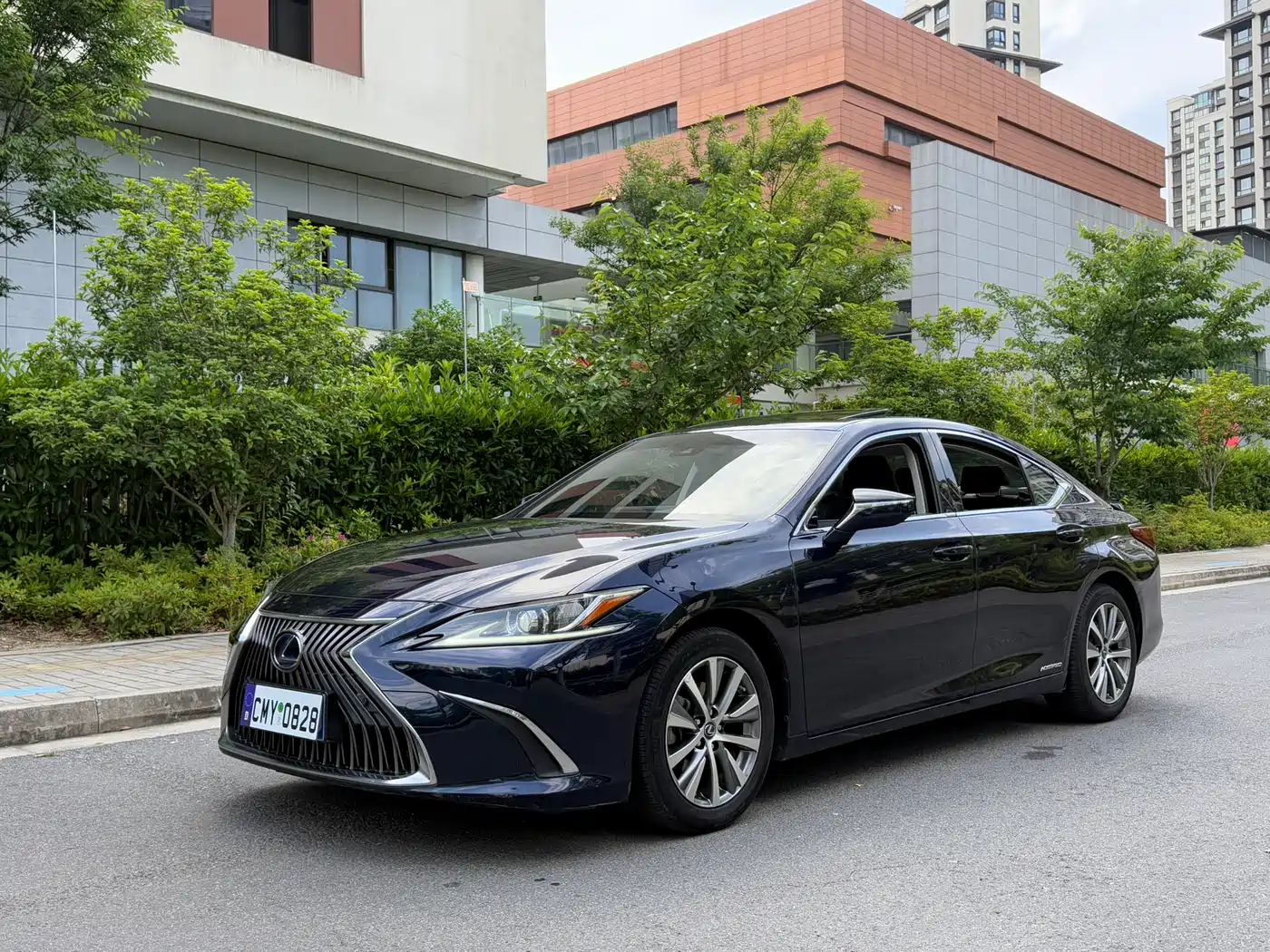 Lexus ES 2018 300h Excellence Edition China V