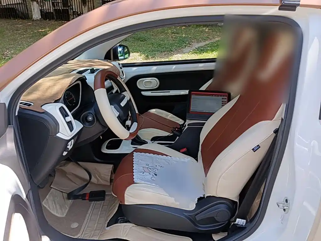 Roewe Kaiwei CLEVER 2024 2022 311km Vitality Bobo Edition