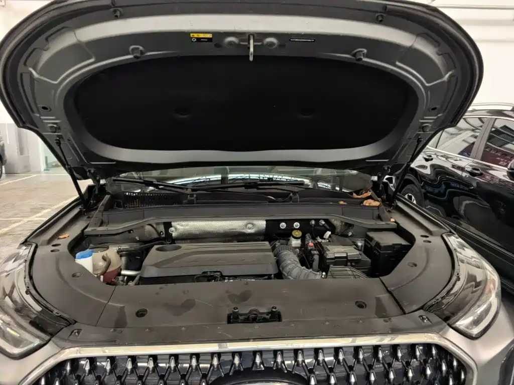 Chery Tiggo 8L 2024 2024 2.0T 2WD Premium 5-seater