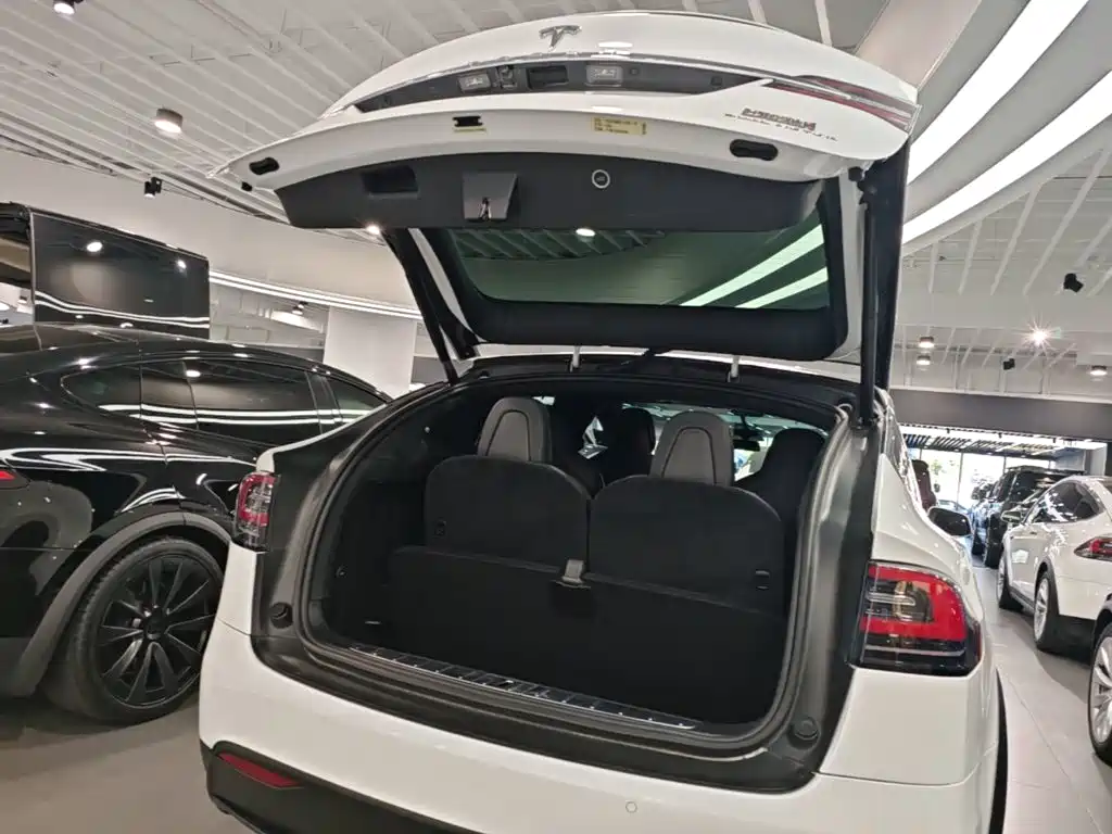 Фото 19 - Tesla Model X