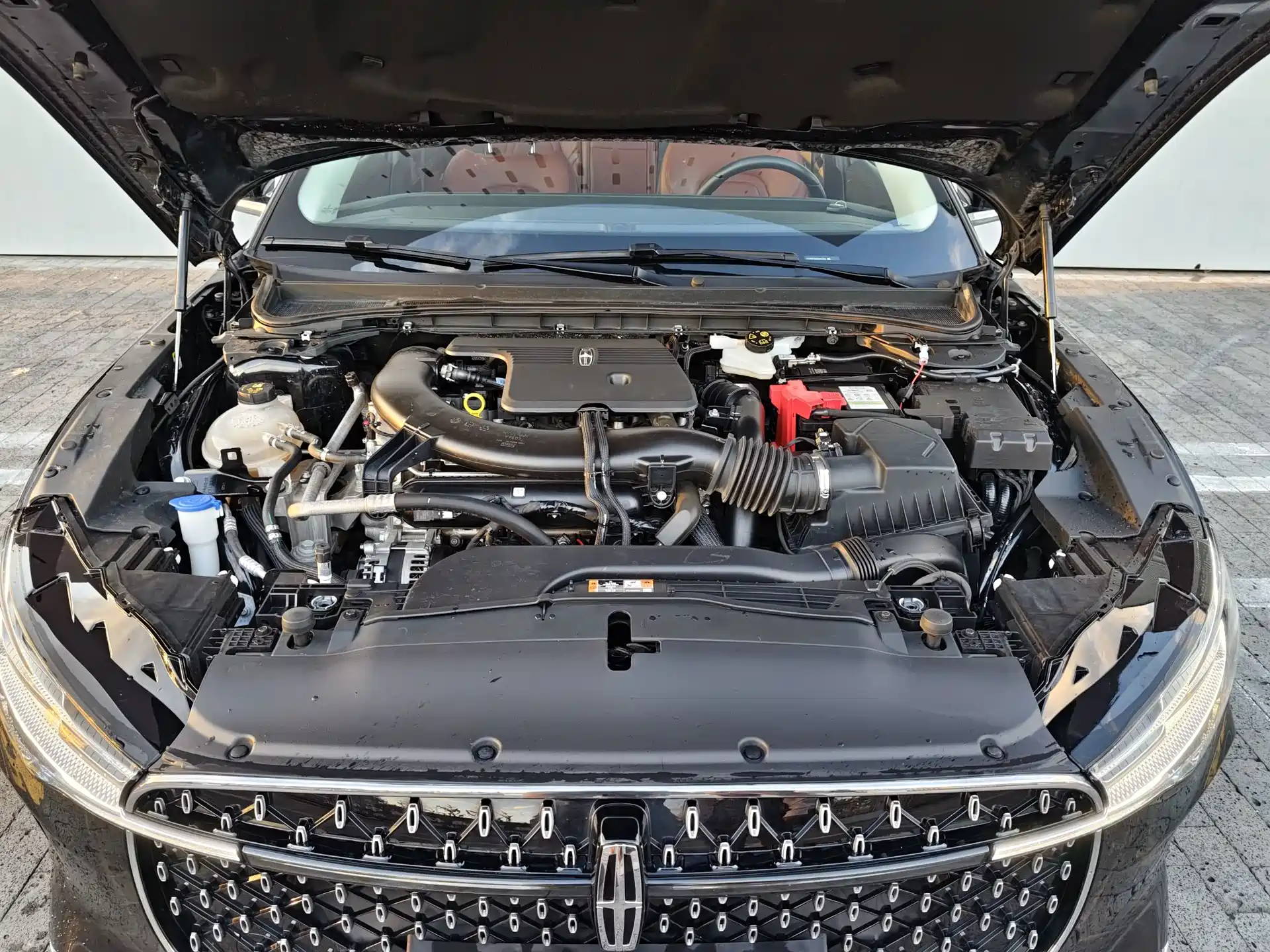 Photo 11 - Lincoln Z