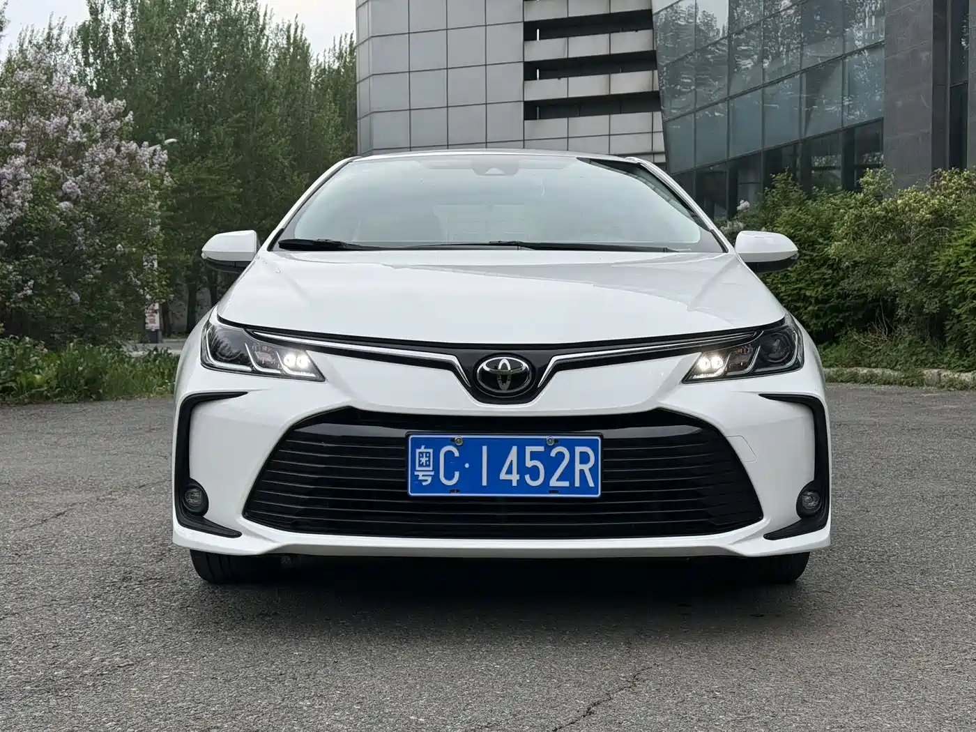 Toyota Corolla 2023 1.2T Elite Edition фото 2