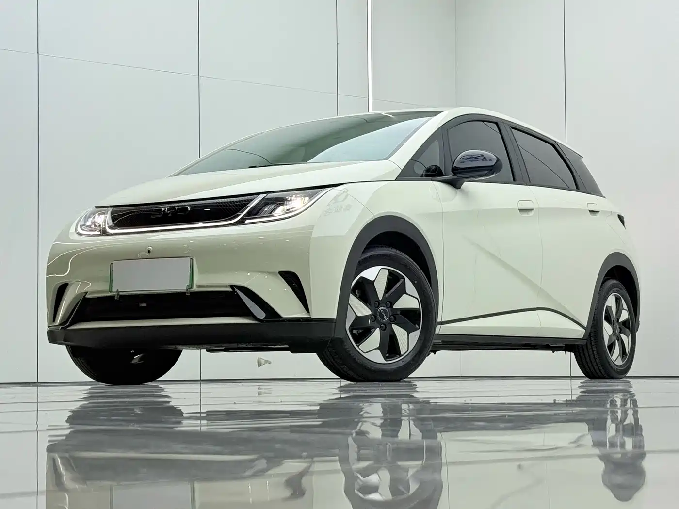 BYD Dolphin 2026 2025 420km Vitality Edition