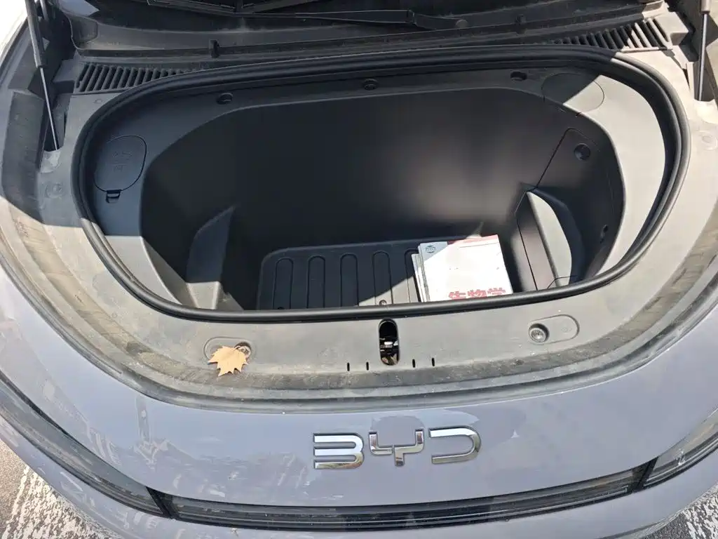 BYD Hai Shi 05 EV 2025 2025 520KM Smart Navigation Edition