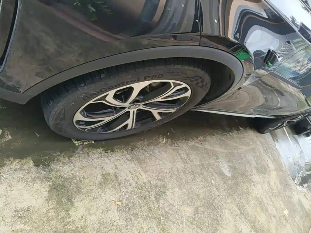 BYD Tang New Energy 2025 2025 Smart Driving Edition DM-i 115KM Flagship