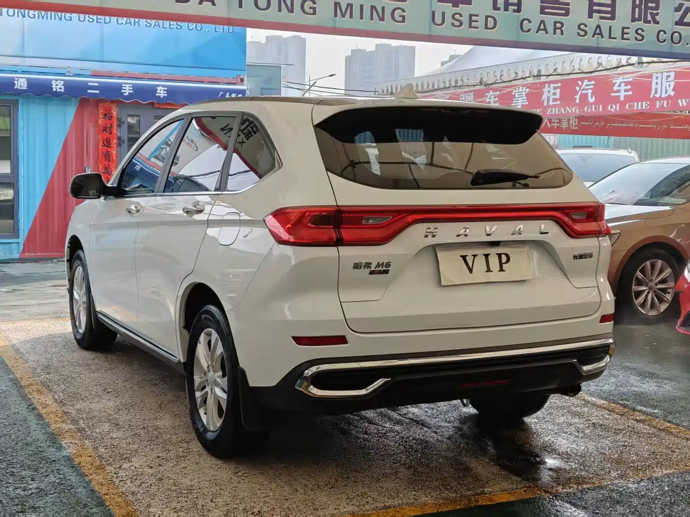 HAVAL M6