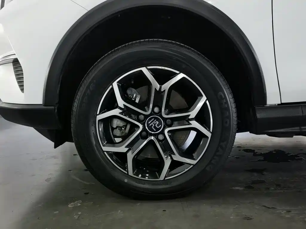 BYD Yuan Pro 2022 2021 401KM Luxury Model