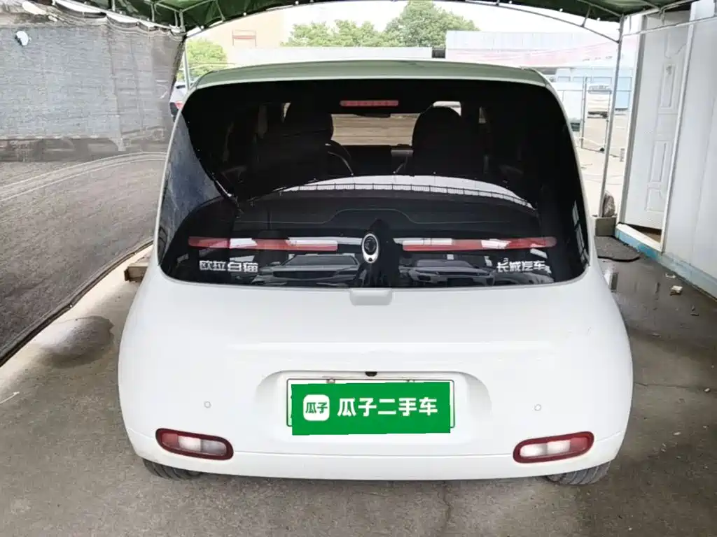 Ora White Cat 2021 2020 305km Luxury