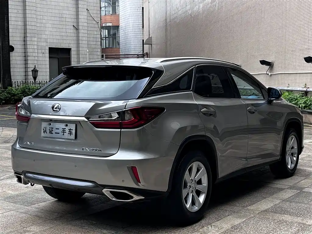 Lexus RX 2016 300 2WD Comfort Edition China V фото 20