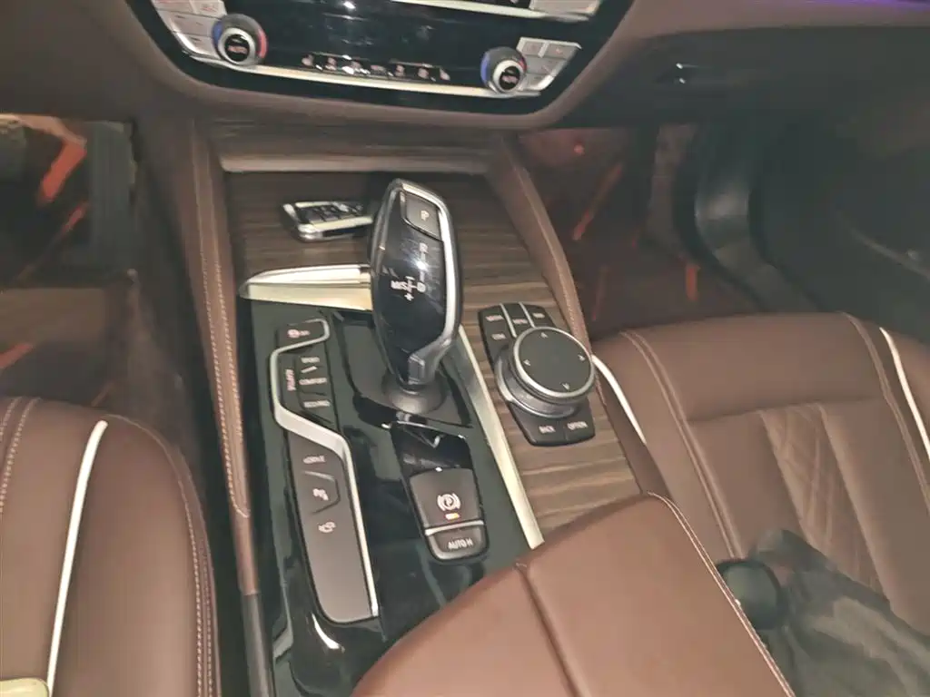 BMW 5 Series New Energy 2020 530Le Range Upgrade Pioneer Edition фото 14