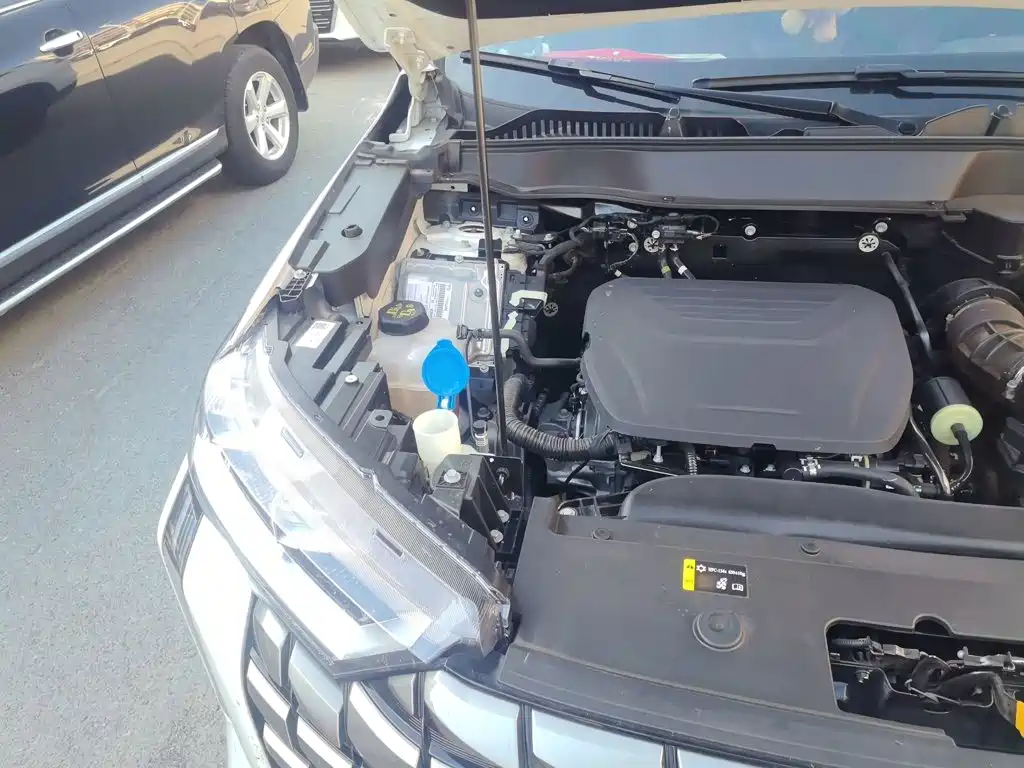 Haval H6 2025 2024 1.5T 2WD Max