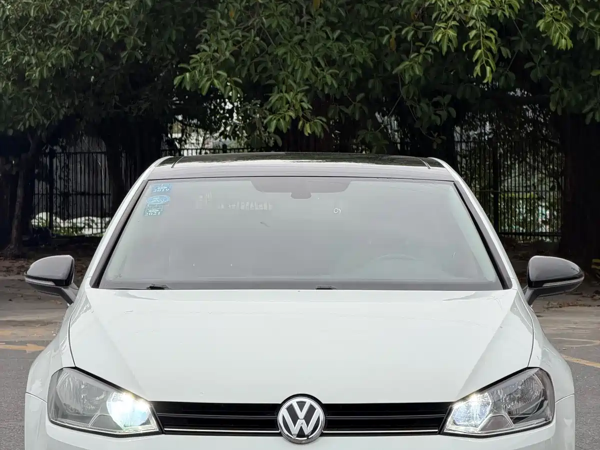 Volkswagen Golf 2017 230TSI Auto Luxury Millionth Anniversary Edition фото 3