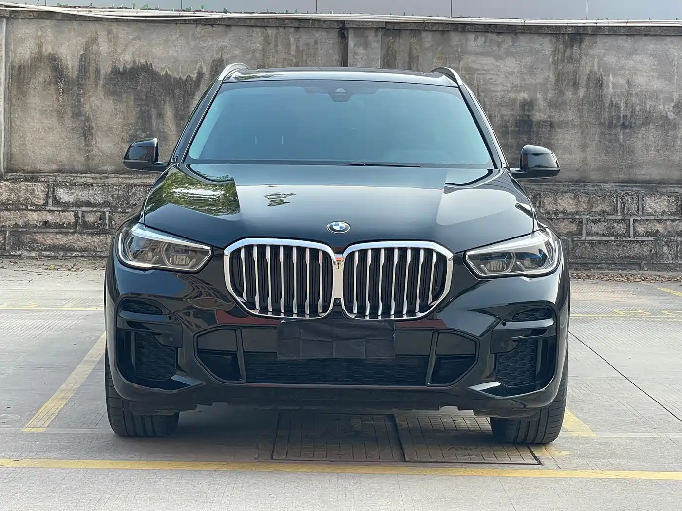 BMW X5 (Import) 2022 xDrive40i M Sport Package фото 2