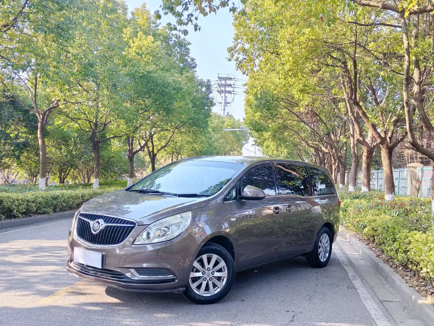 Buick GL8 2017 25S Comfort China V фото 3
