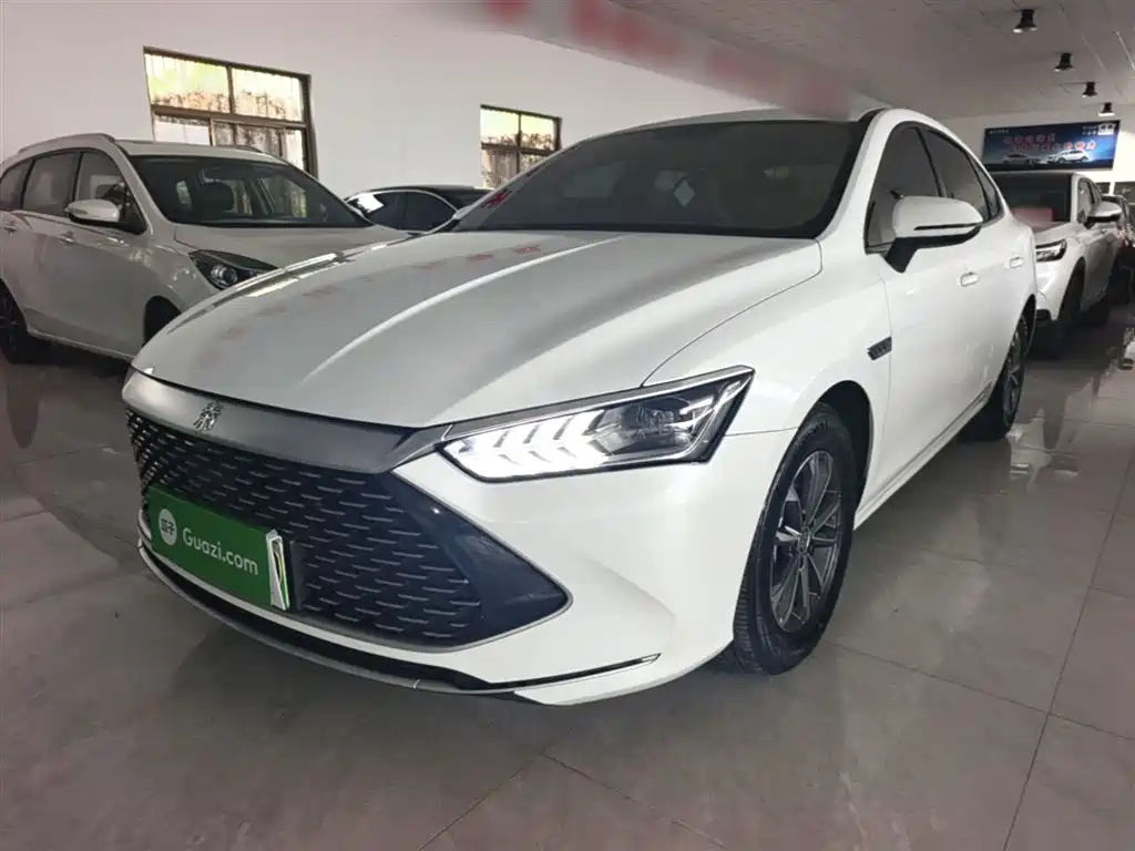 BYD Qin PLUS 2023 Champion Edition DM-i 55KM Leading